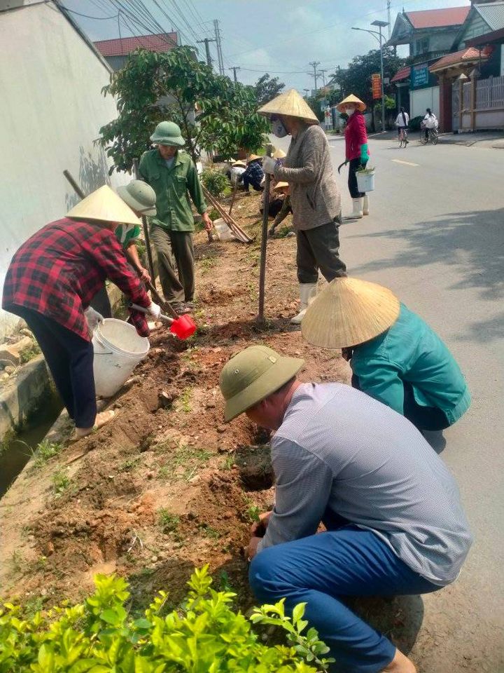 Phú Lộc nhân rộng mô hình trồng hàng rào xanh gắn với xây dựng nông thôn mới kiểu mẫu