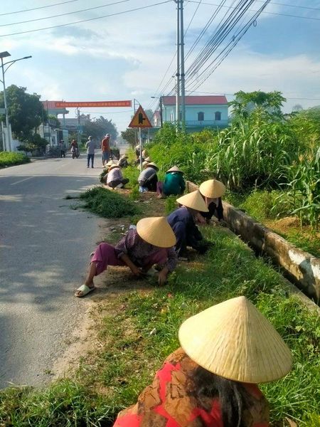 Hội Nông dân xã Phú Lộc chăm sóc tuyến đường Hội Nông dân tự quản Sáng - xanh - sạch - đẹp